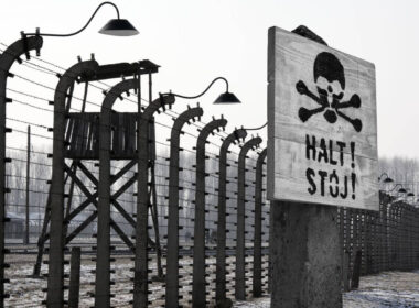 filmy o obozie koncentracyjnym
