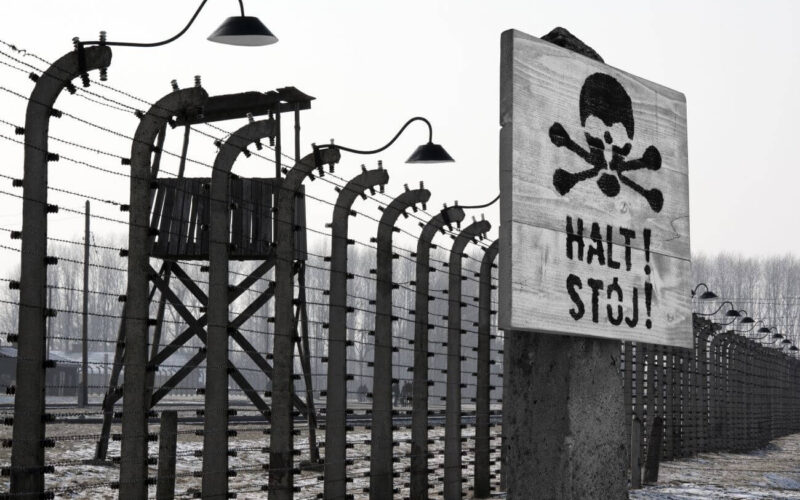filmy o obozie koncentracyjnym